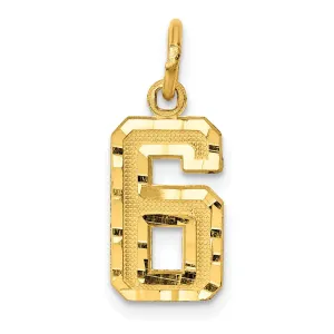 14k Yellow Gold Polished Diamond Cut Finish Small Size Number 6 Charm Pendant