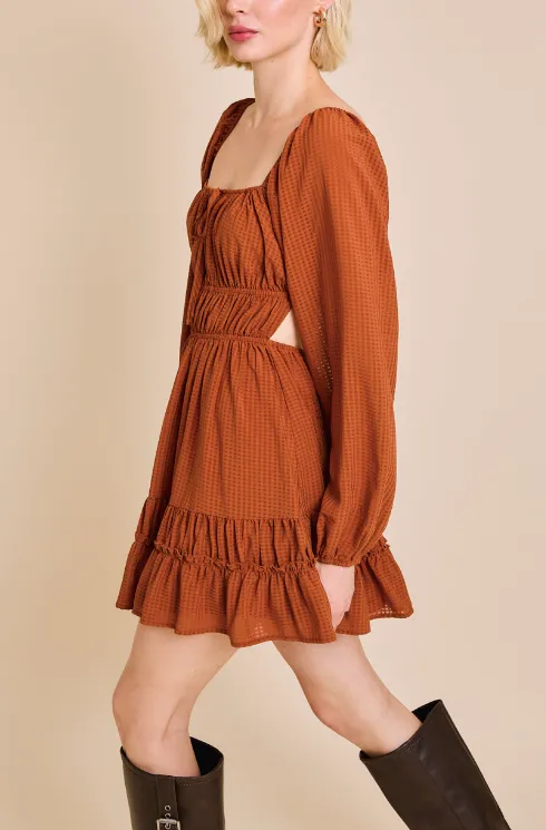 Apple Picking Mini Dress SALE