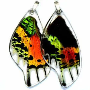 Butterfly wing pendant ONLY, Sunset butterfly, bottom wing