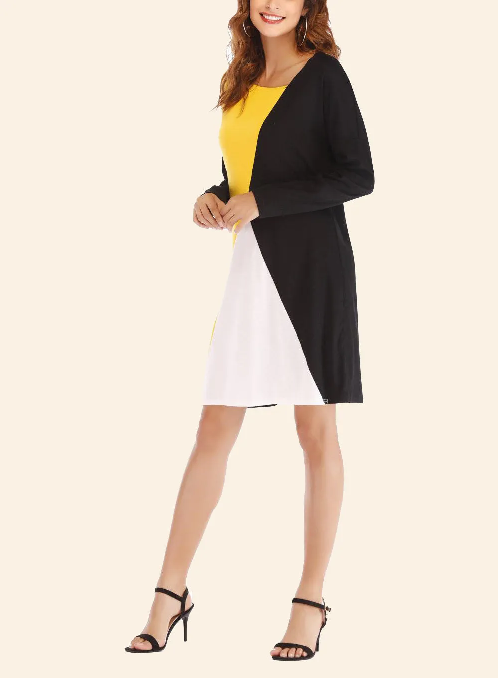 Contrast Colorblock Long Sleeve Loose Round Neck Dress