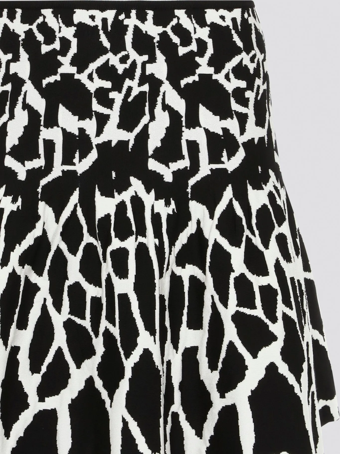 Contrast Print Flared Mini Skirt