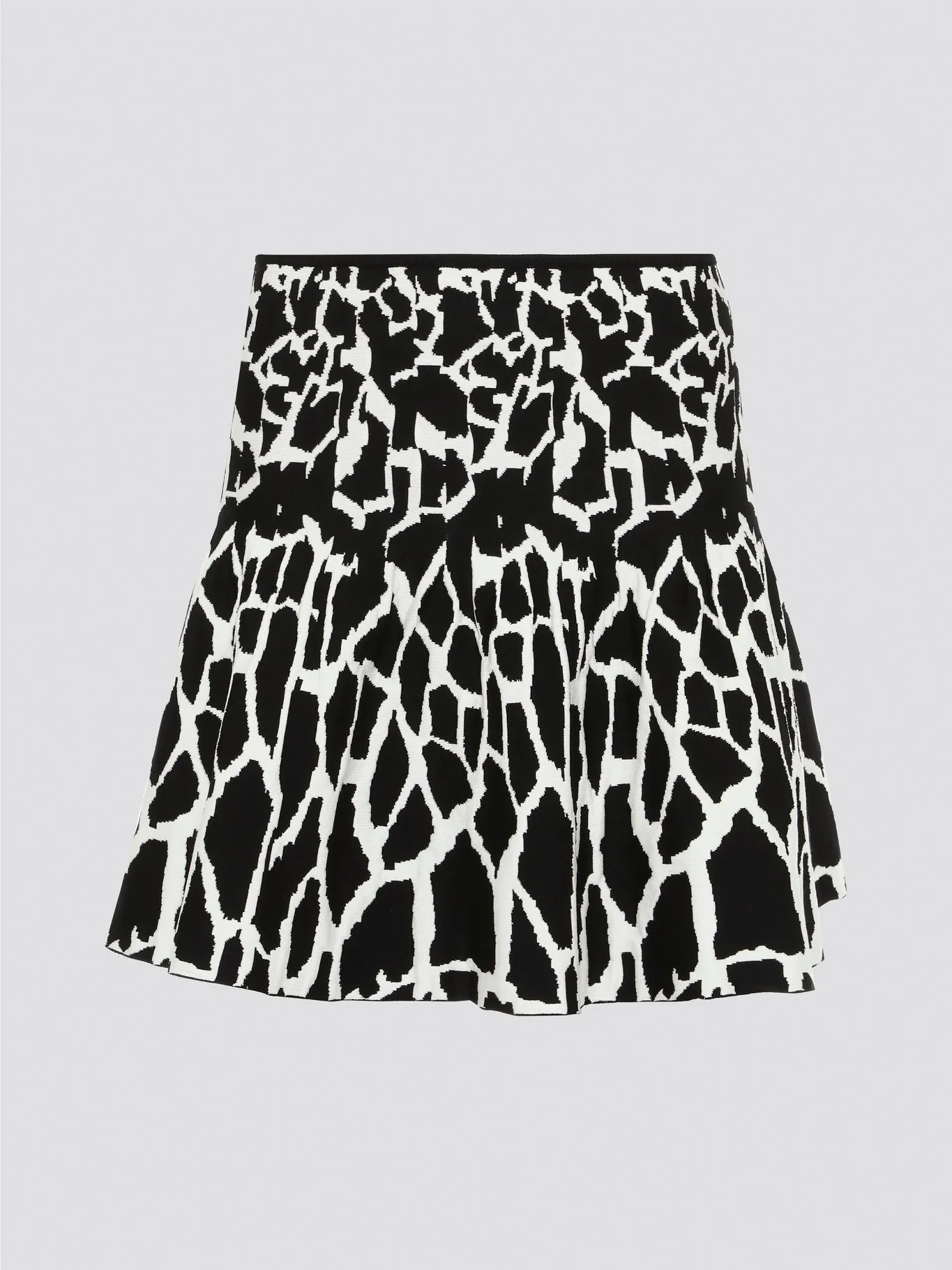 Contrast Print Flared Mini Skirt