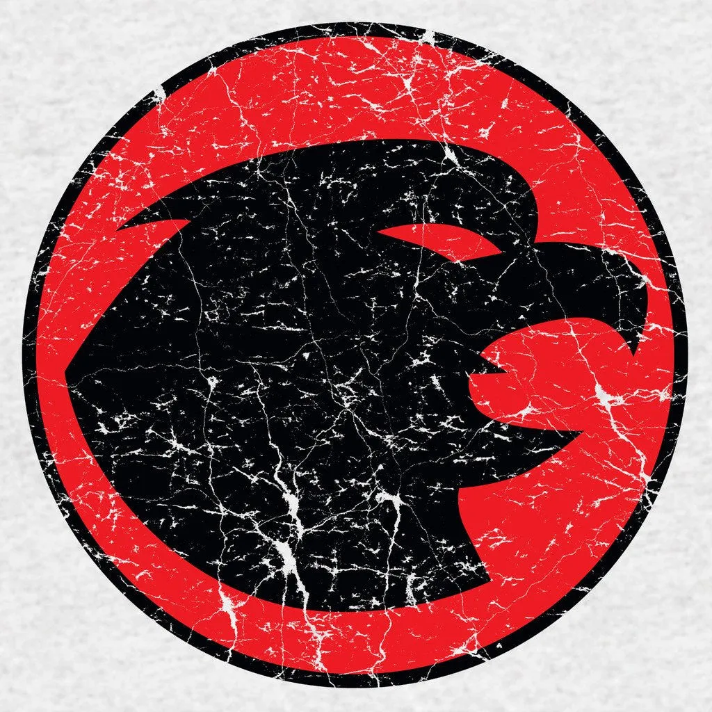 DC Comics Hawkgirl Distressed Logo Official Women's T-shirt