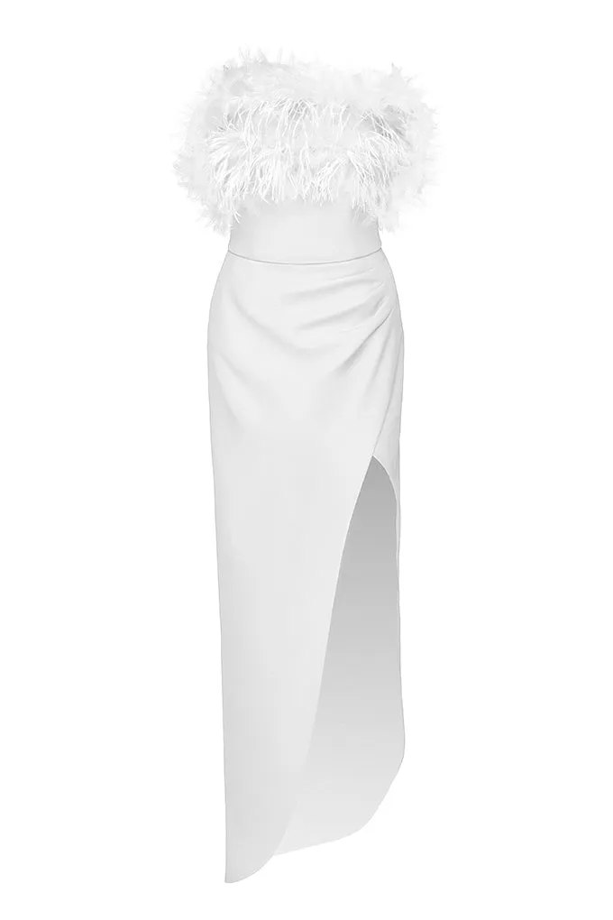 Elegant dress with ostrich feathers