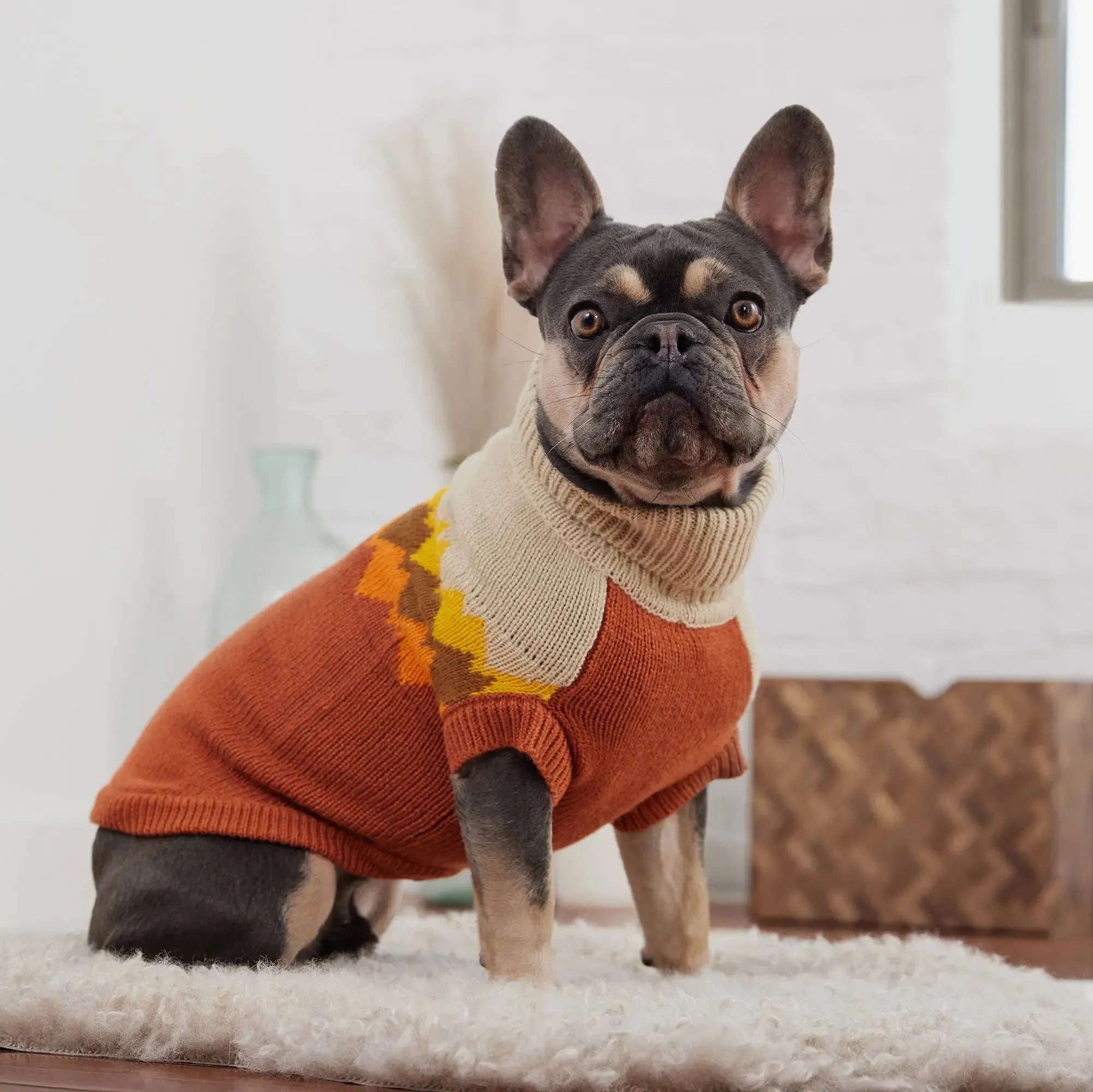 Fireside Dog Sweater | Chili