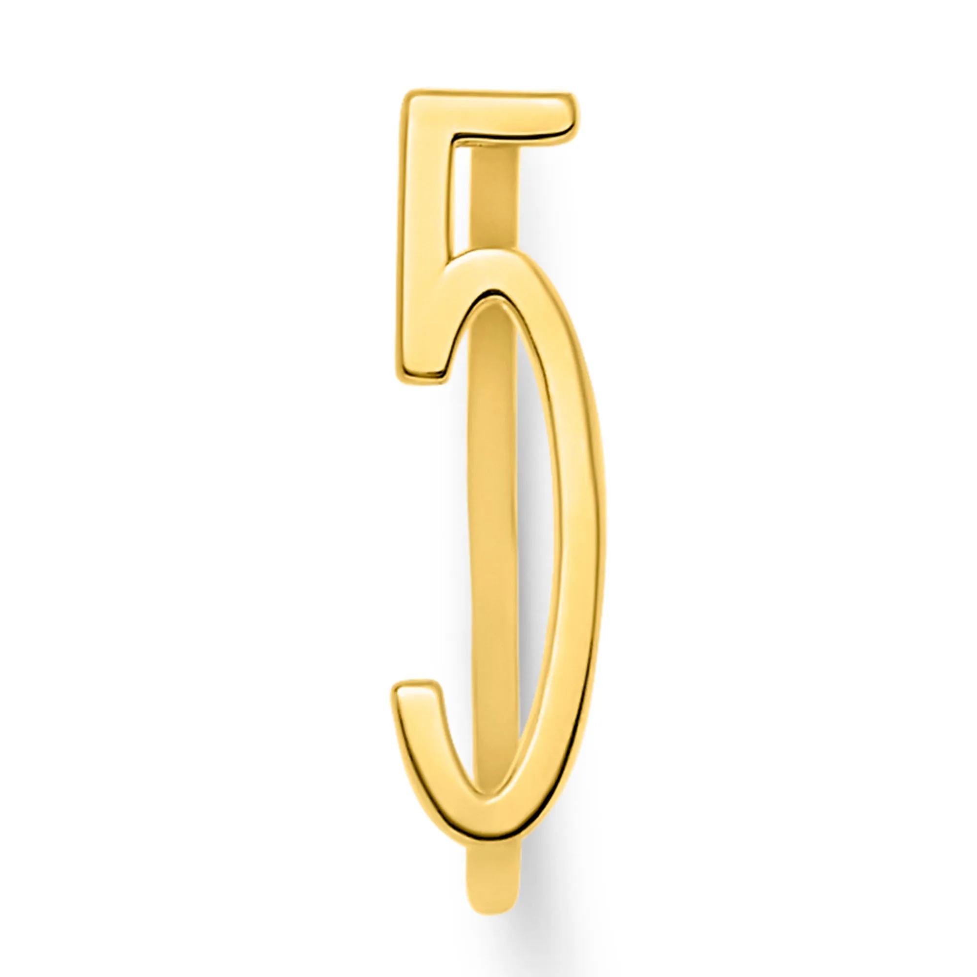 Number Rings