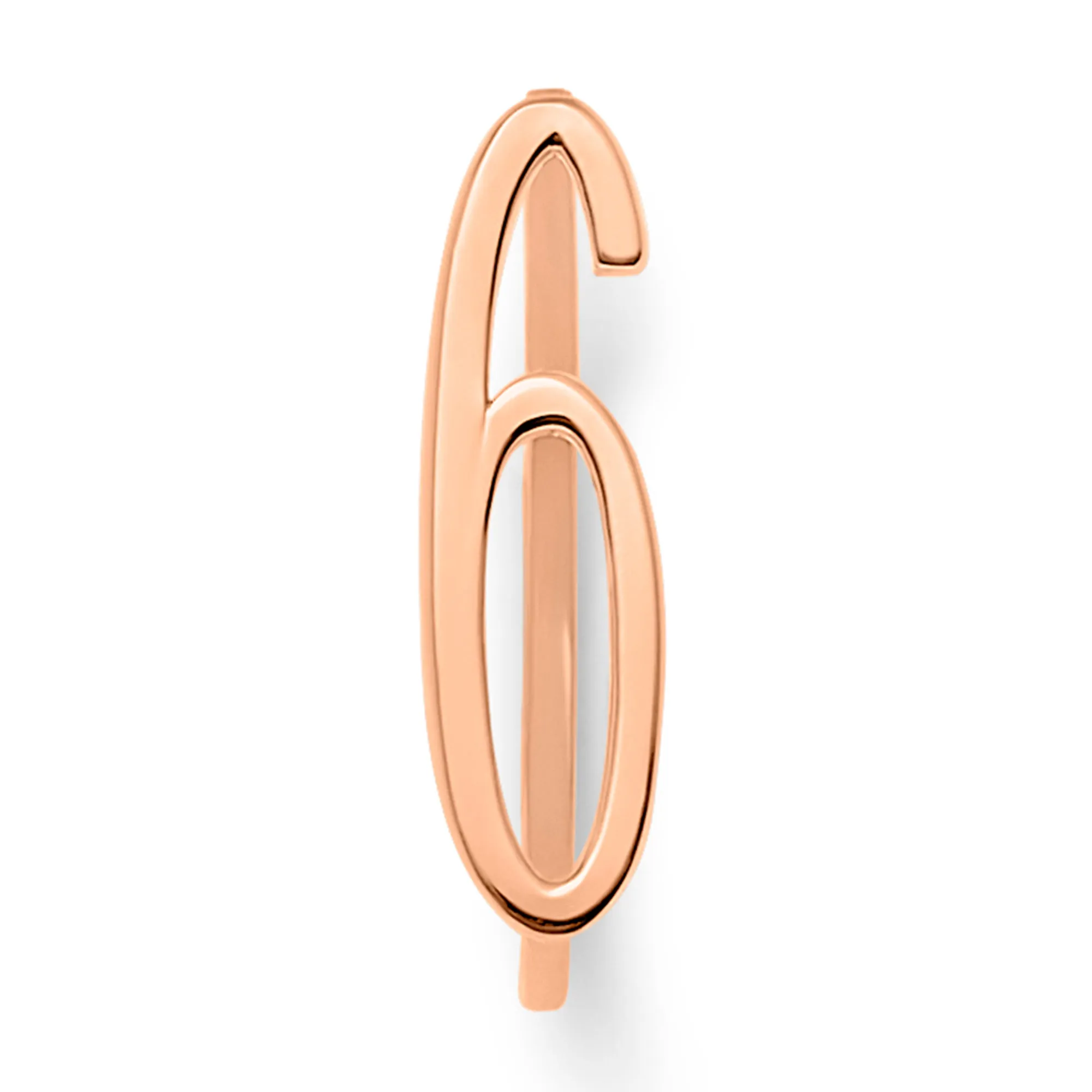 Number Rings
