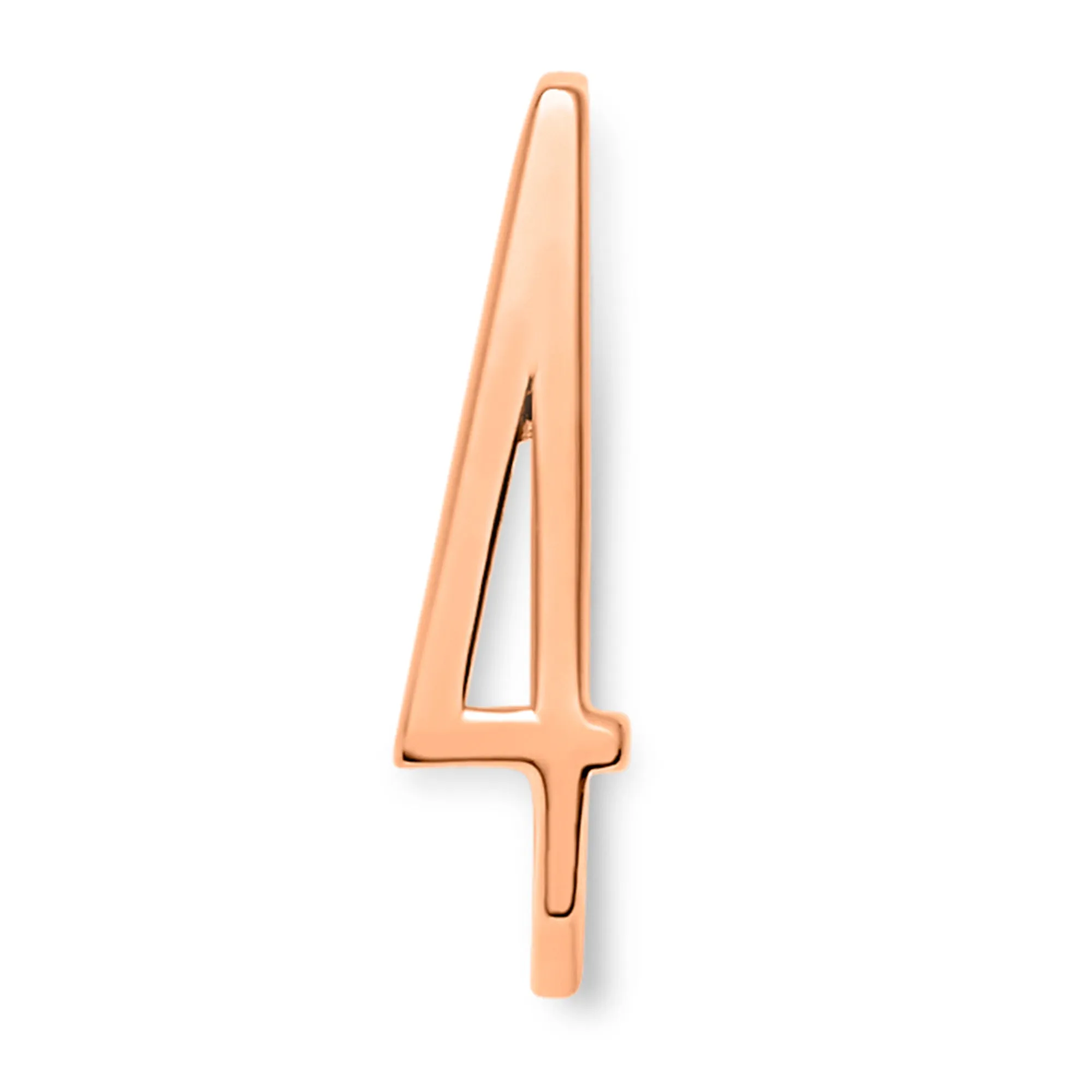 Number Rings