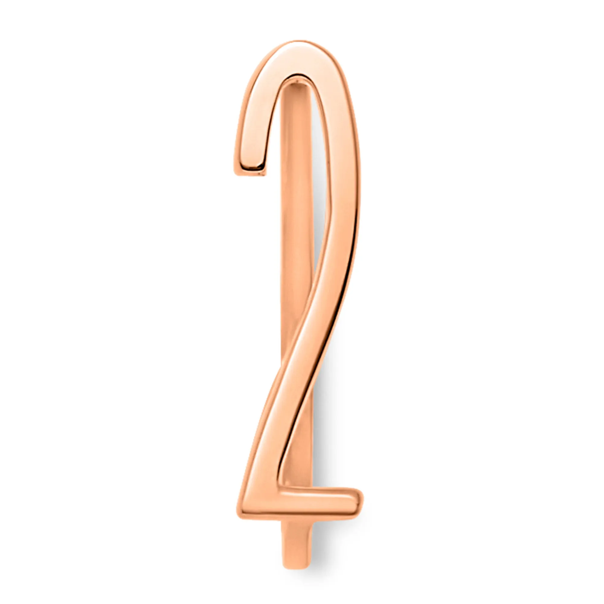 Number Rings