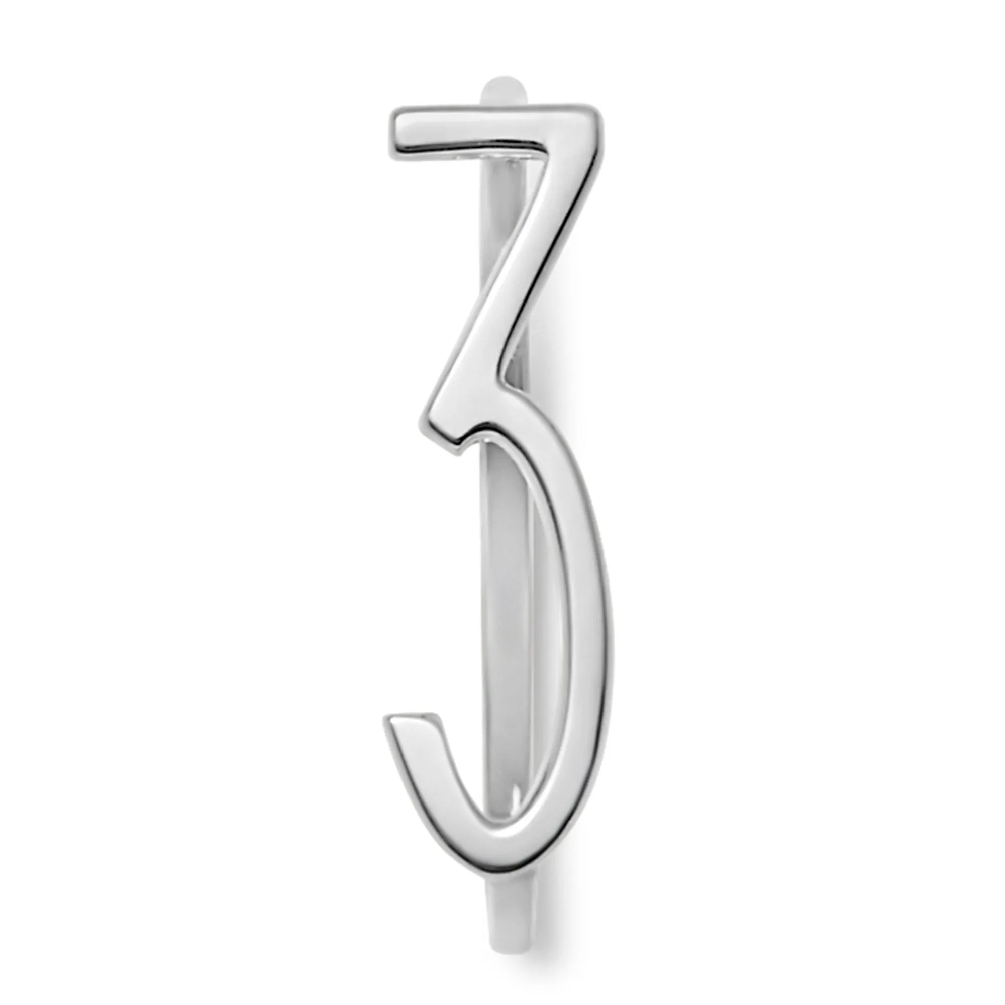 Number Rings
