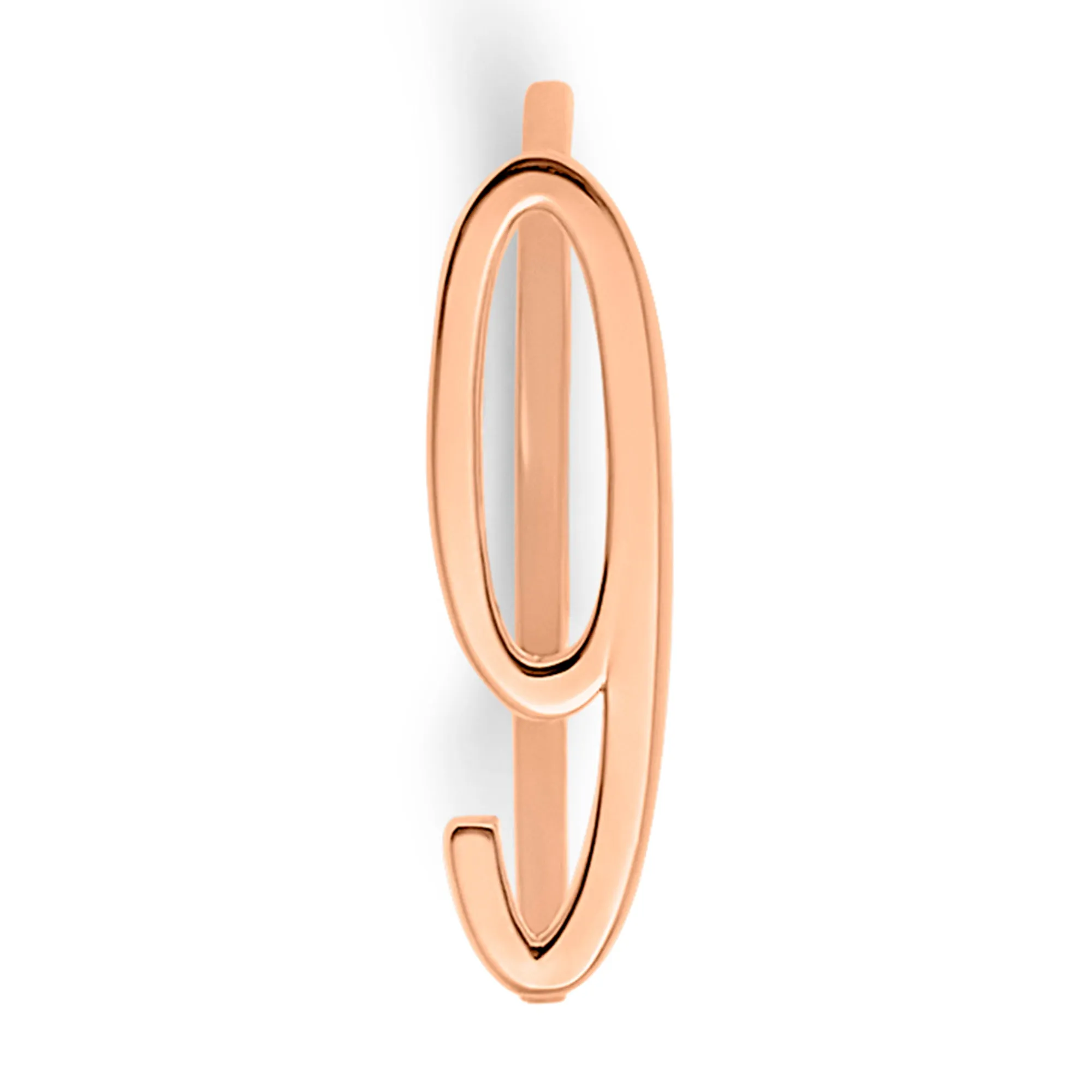 Number Rings