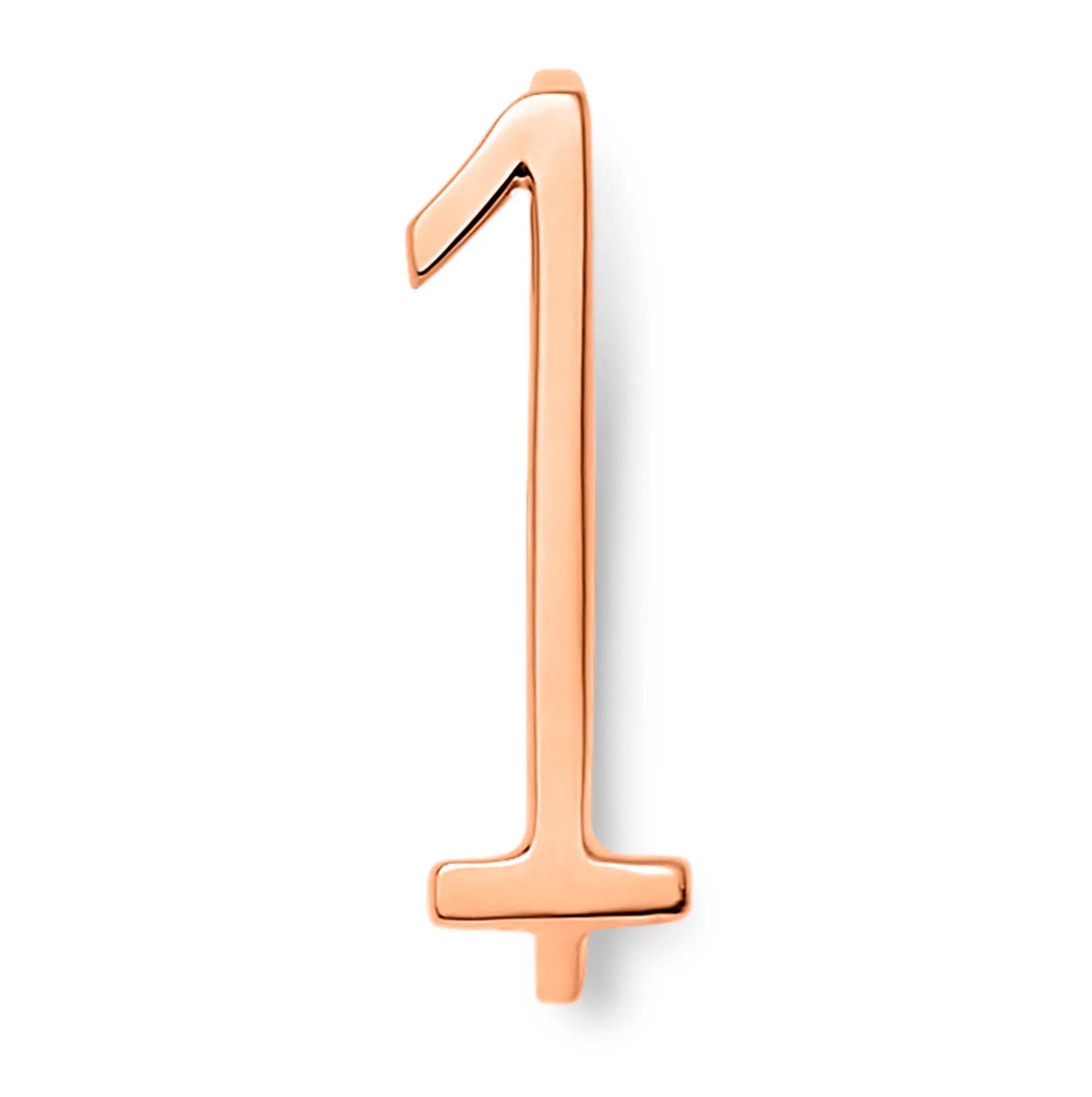 Number Rings