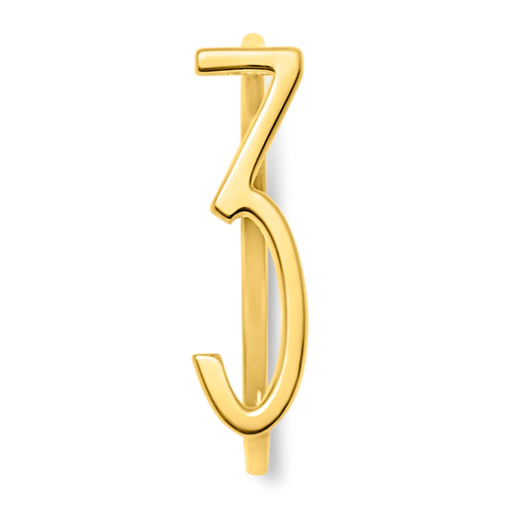 Number Rings