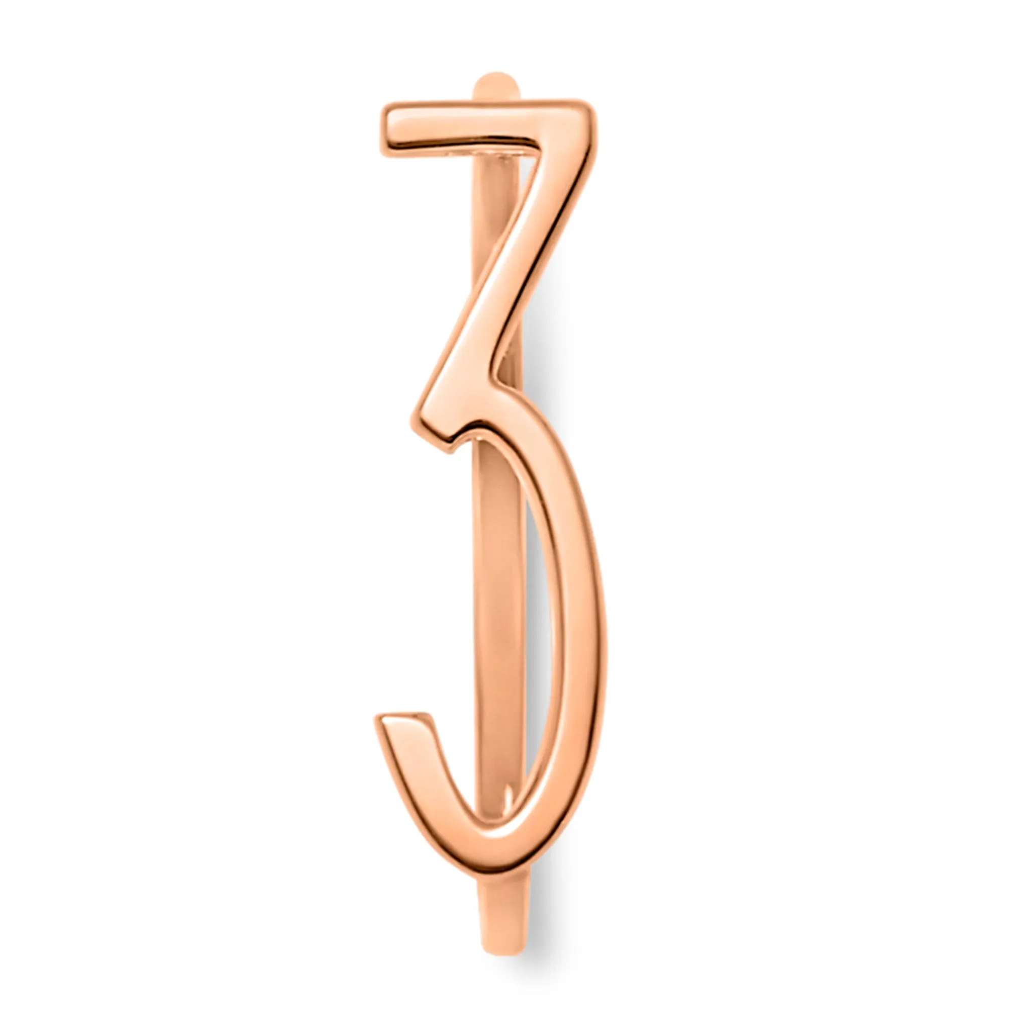 Number Rings