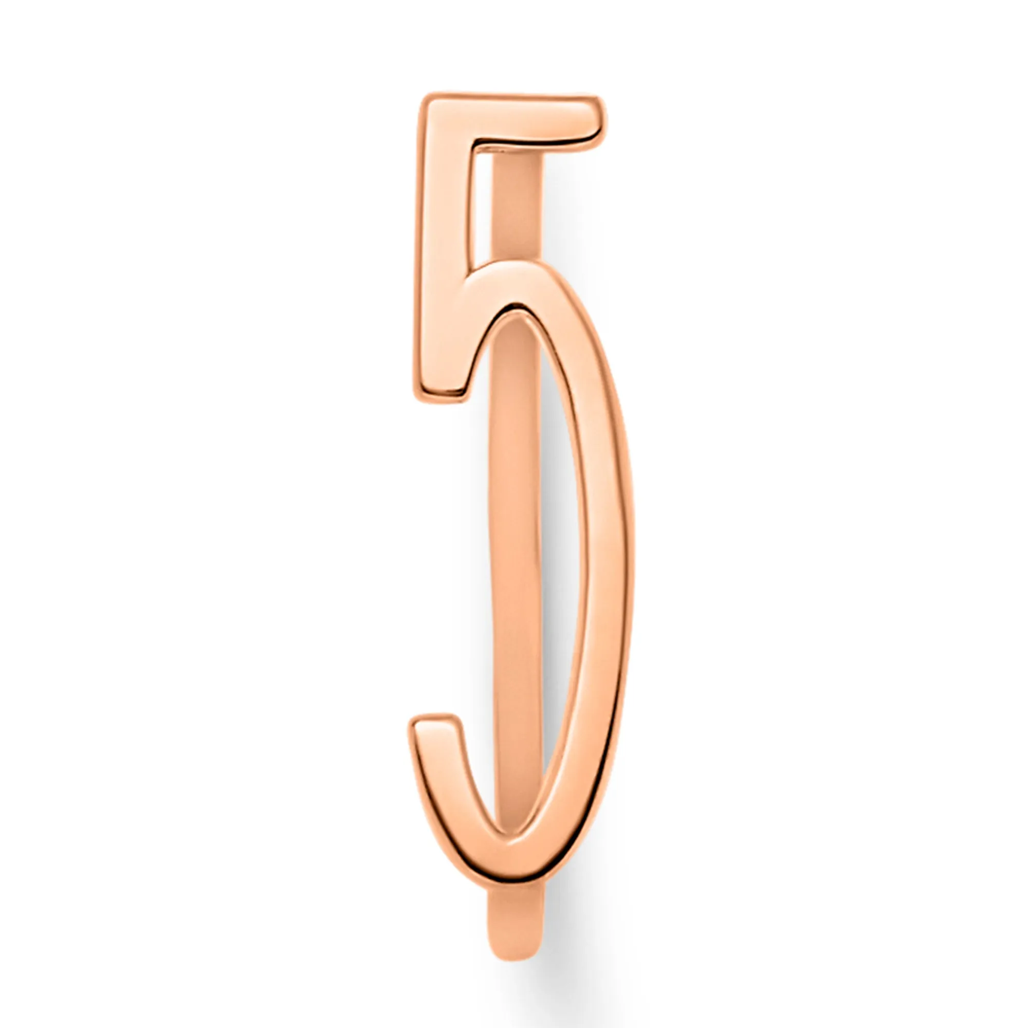 Number Rings