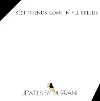 Pet Paw & Name Disc Necklace