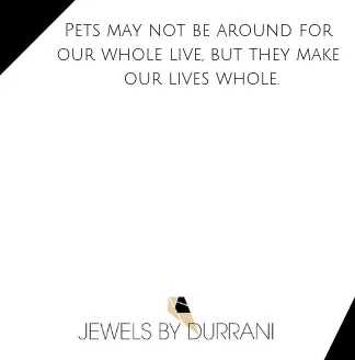 Pet Paw & Name Disc Necklace