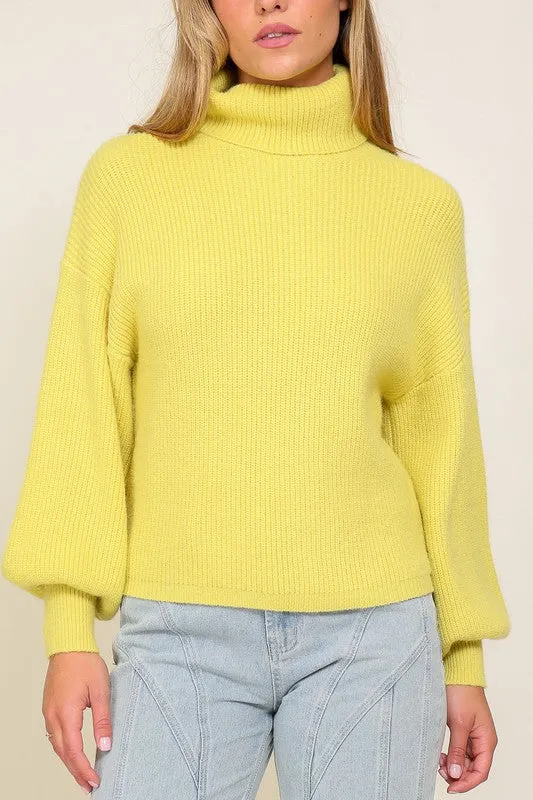 RIB KNIT TURTLENECK SWEATER