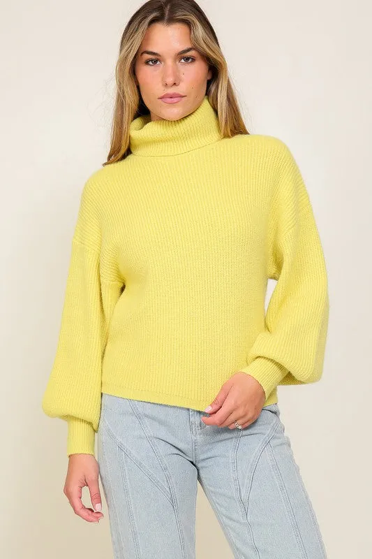 RIB KNIT TURTLENECK SWEATER