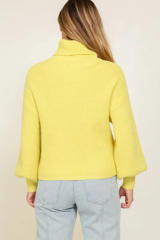 RIB KNIT TURTLENECK SWEATER