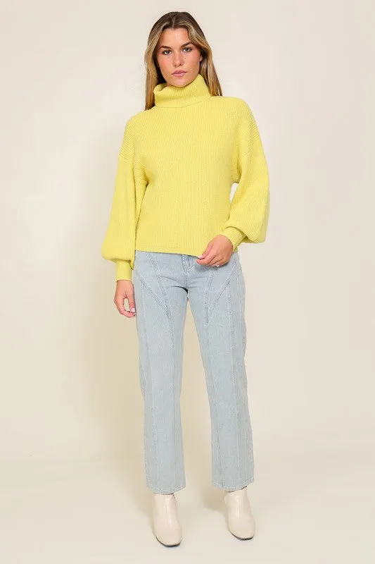 RIB KNIT TURTLENECK SWEATER