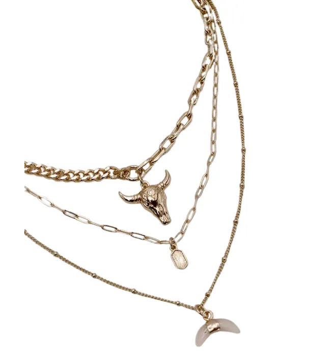 Rodeo Multi Layered Necklace