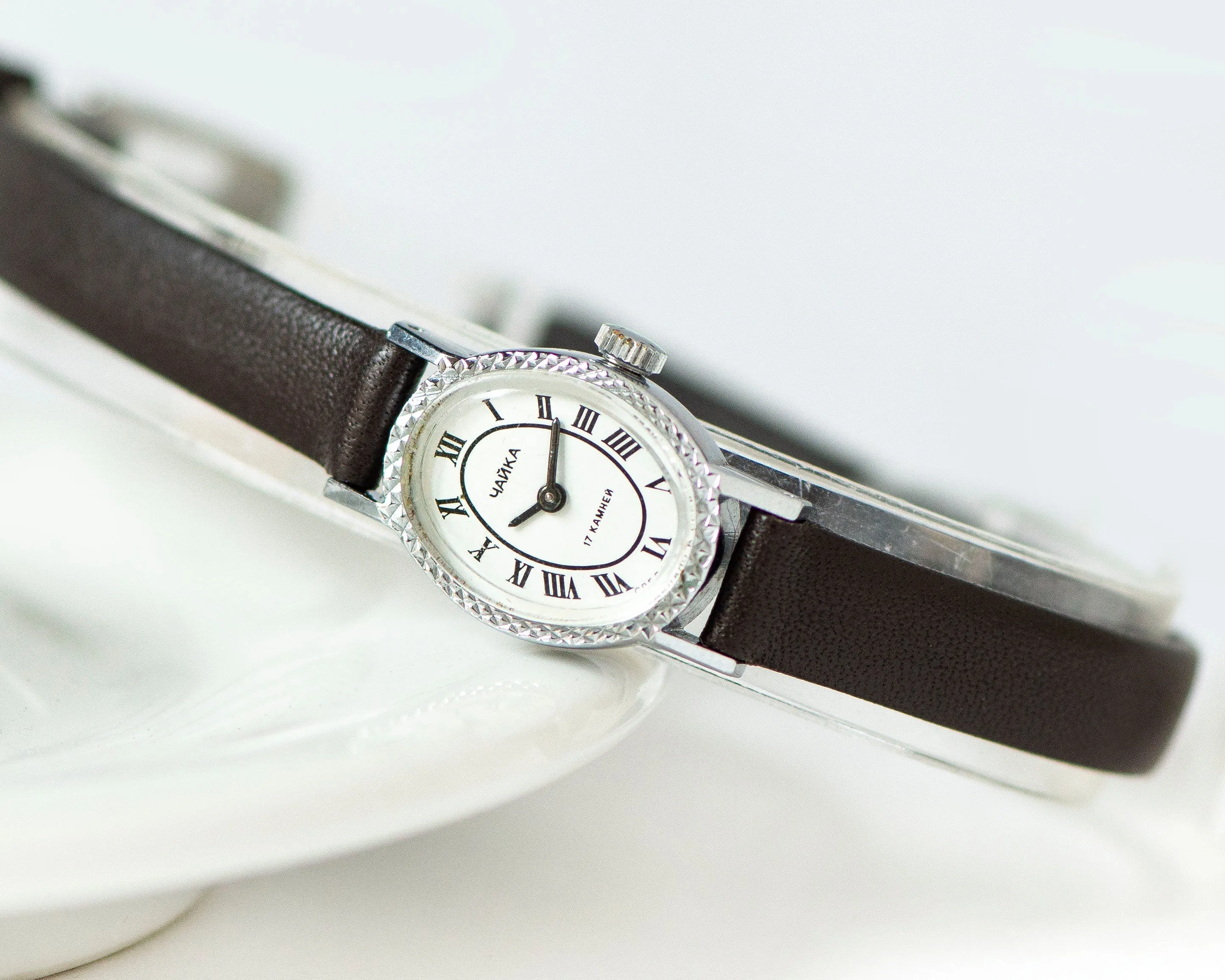 Women's watch vintage oval Roman numerals dial, Seagull silver shade lady watch delicate gift, classic women watch, new premium leather band