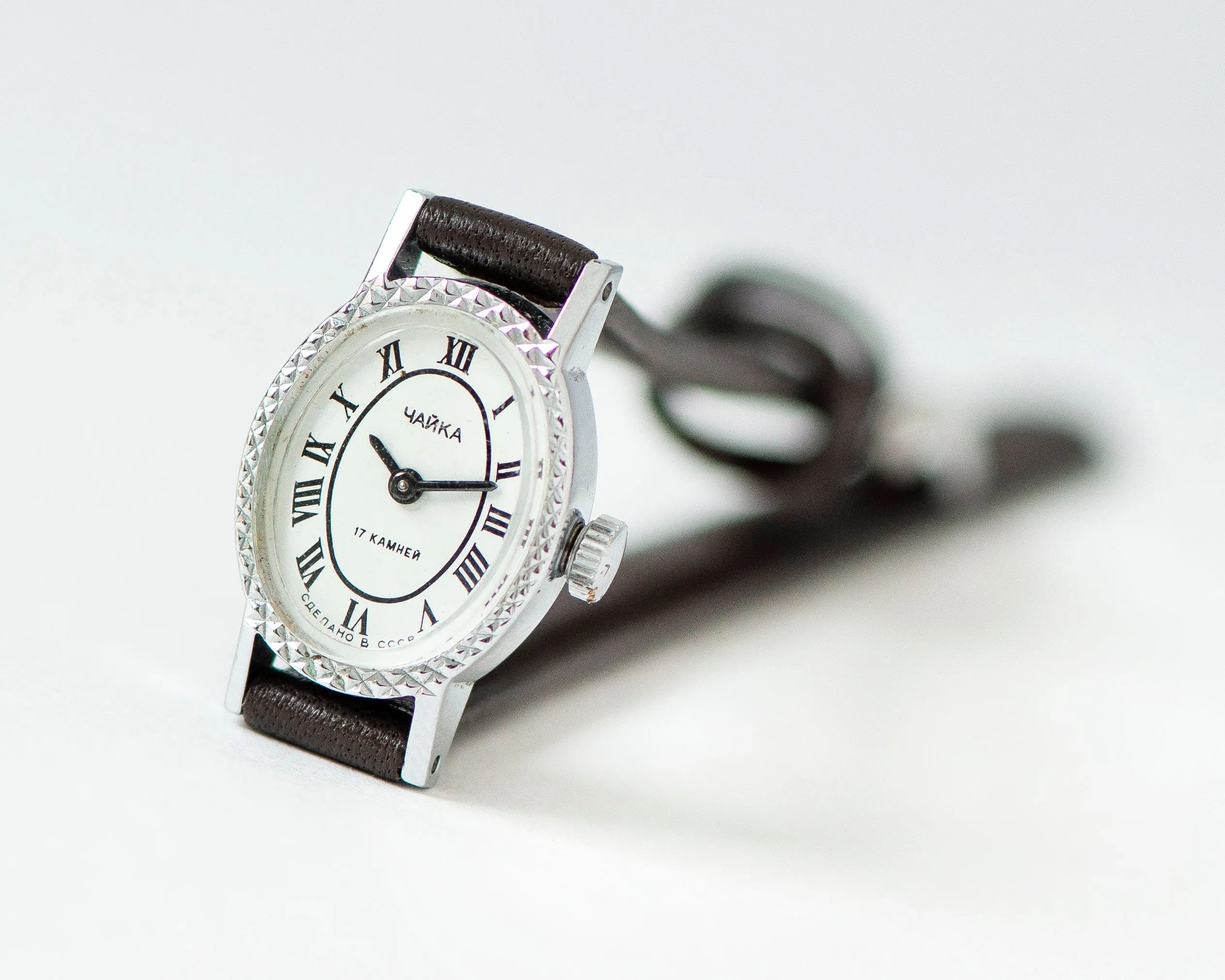 Women's watch vintage oval Roman numerals dial, Seagull silver shade lady watch delicate gift, classic women watch, new premium leather band